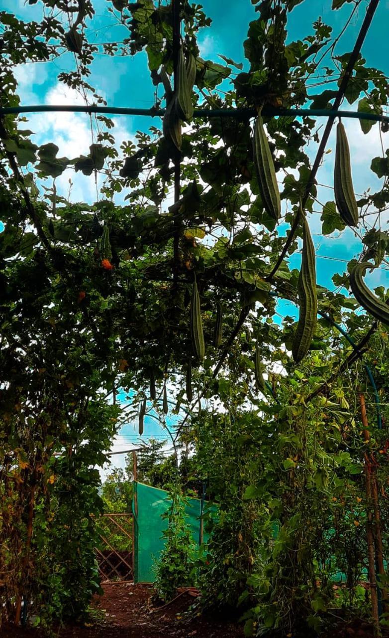 Chalobahills Farmstay Resort Ajra Dış mekan fotoğraf